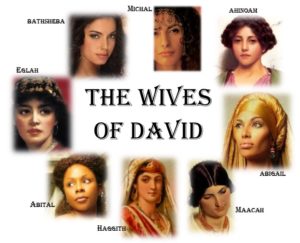 David's wives